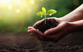 How Samsung Certified Re-Newed Helps the Planet (and Your Wallet)